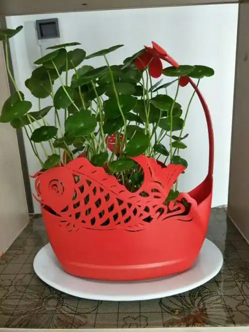 用洗洁精瓶做花盆造型 洗洁精制作花盆视频