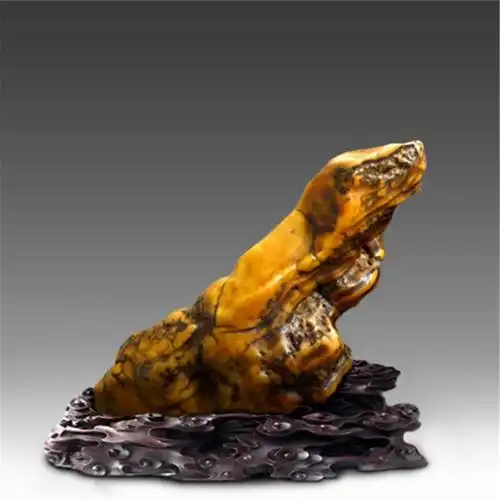 奇石欣赏《戈壁奇石-动物》