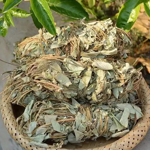 新款广西野生金钱草中药材大叶金钱草干货中草药新鲜无硫绑扎