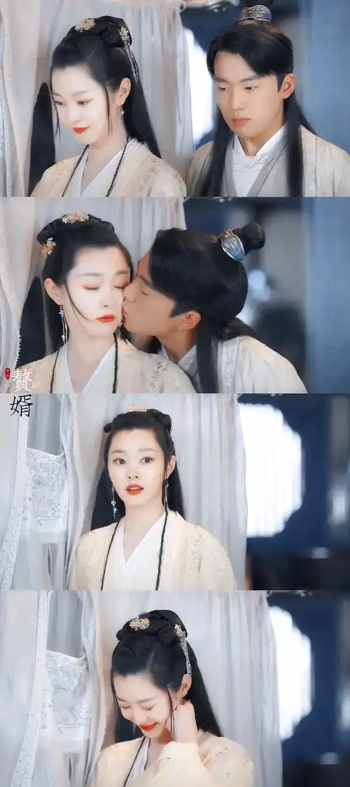 郭麒麟│宋轶|赘婿