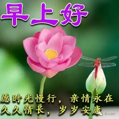 早上好表情包彼此牵挂心中暖一生亲情金不换