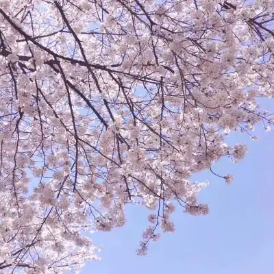 酷朋友圈相册封面