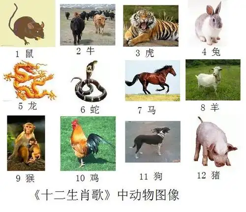 阚心于的个人主页