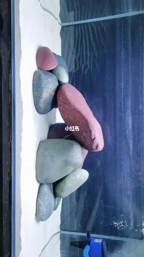 整一个一米缸鹅卵石造景美美的