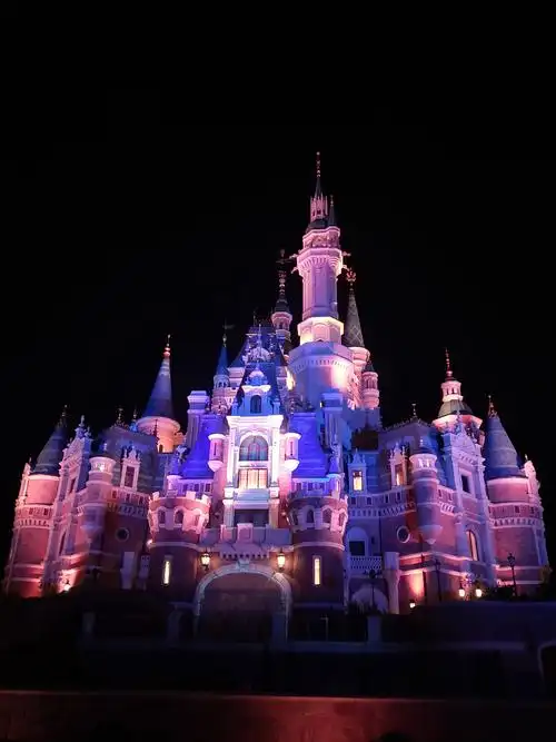 上海迪士尼三人行