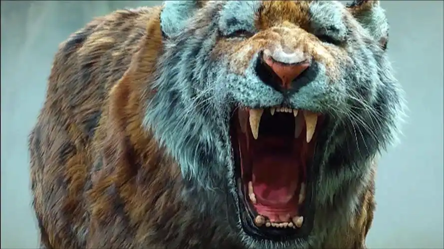 西游中有4只虎精,全都被扒皮分尸,老虎:我到底得罪谁了?