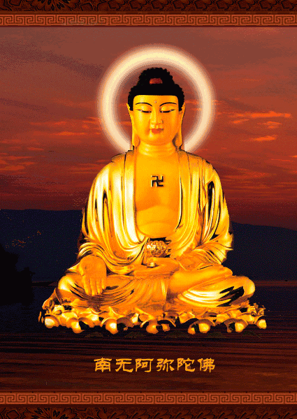 425_600竖版 竖屏gif 动态图 动图