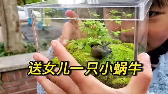 " 重播 播放 00:00/00:00直播 进入全屏          点击关闭悬浮小窗口