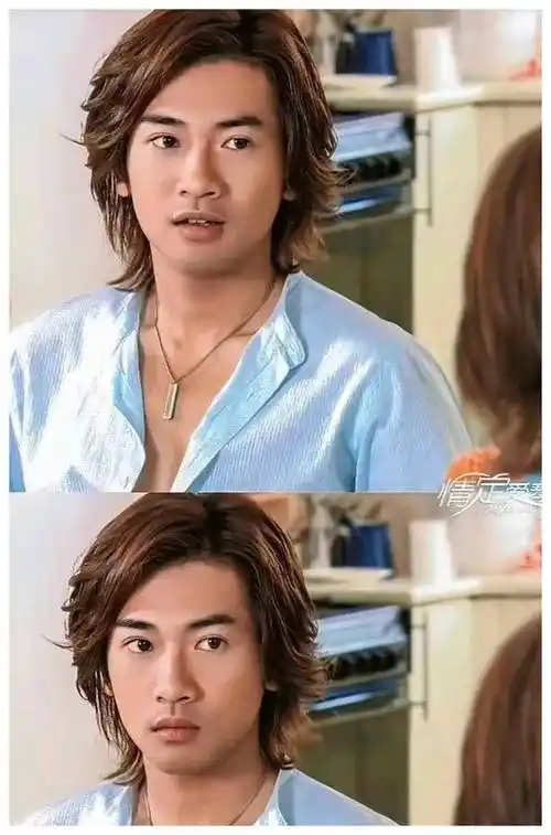 苏有朋:颜值与演技并存,获得不老称号,单身贵族生活惬意!