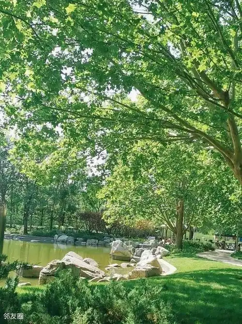 十几年前的北小河公园,你还记得吗?