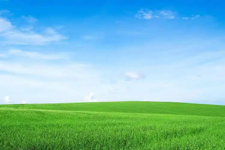 4k清新护眼蓝天白云绿色麦田风景高清壁纸4k室内萌琪琪irene浴缸美女