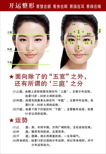 海报印制设计展板素材面相相图五官三庭运势写真