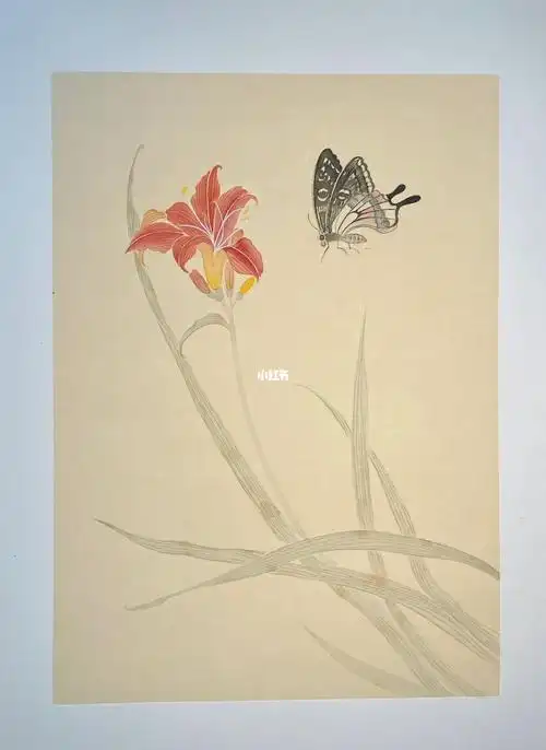 没骨画练习no18花卉蝴蝶