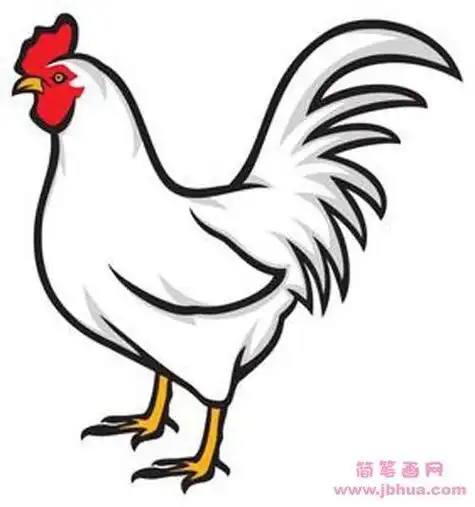 简笔画动物头像鸡