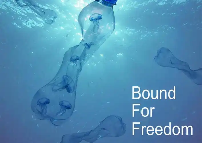 20 1 长沙  |  学生 塑料对海洋环境污染 原创  -  平面  -  海报