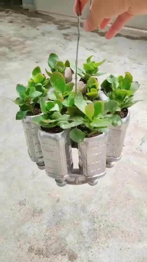 饮料瓶创意一个灯笼式花盆