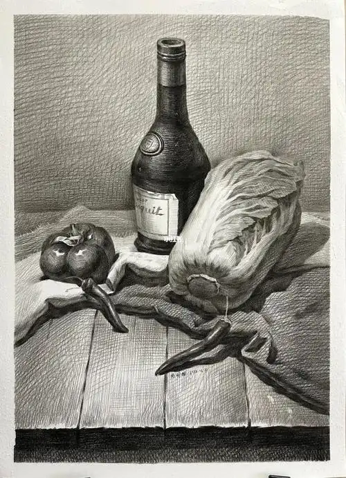 素描静物酒瓶白菜组合