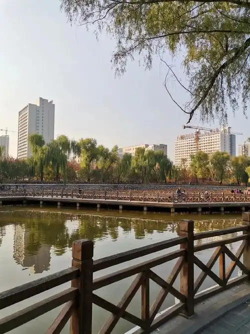 公园散步看美景 ,心情格外好! - 抖音