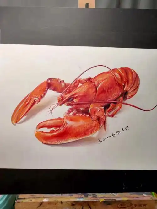 彩铅龙虾附线稿