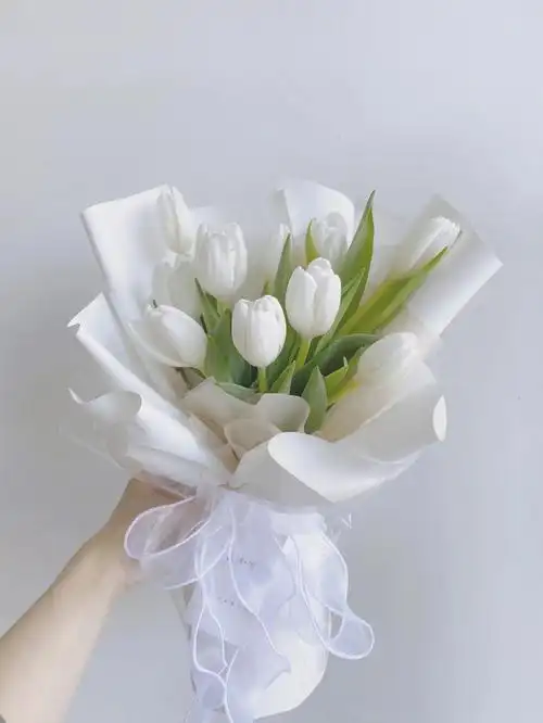 郁金香花束分享