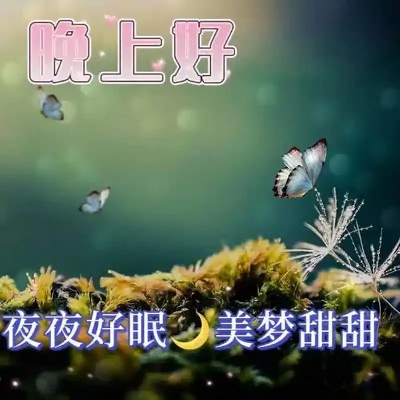 晚上好,今夜的月亮格外明亮,仿佛在为你照耀,轻轻给你祝福:一夜好梦