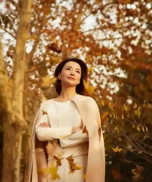 董卿:女人的高级感,不是漂亮,而是拥有一颗精致的心