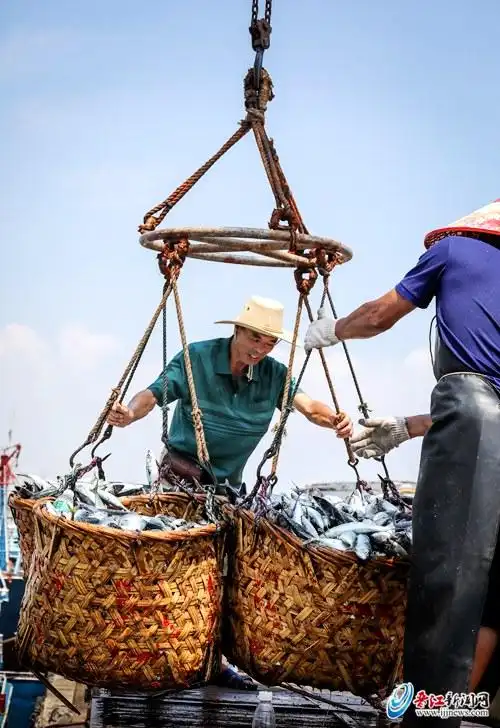 晋江深沪中心渔港码头:出海渔船满载而归
