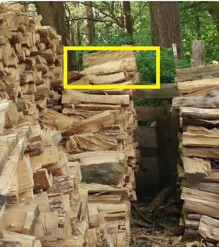 大家来找猫:考眼力的时刻又到了