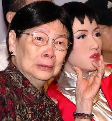 梅艳芳内衣将被拍卖,梅艳芳生前的内裤都拍卖,本文共(5967字)