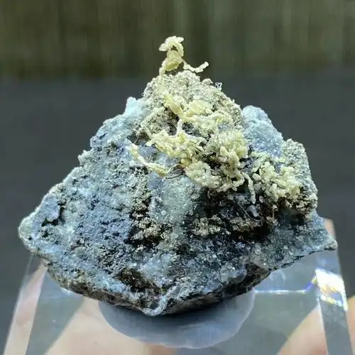 的闪电,透着一种冷冽又神秘的美感,才真正让我明白