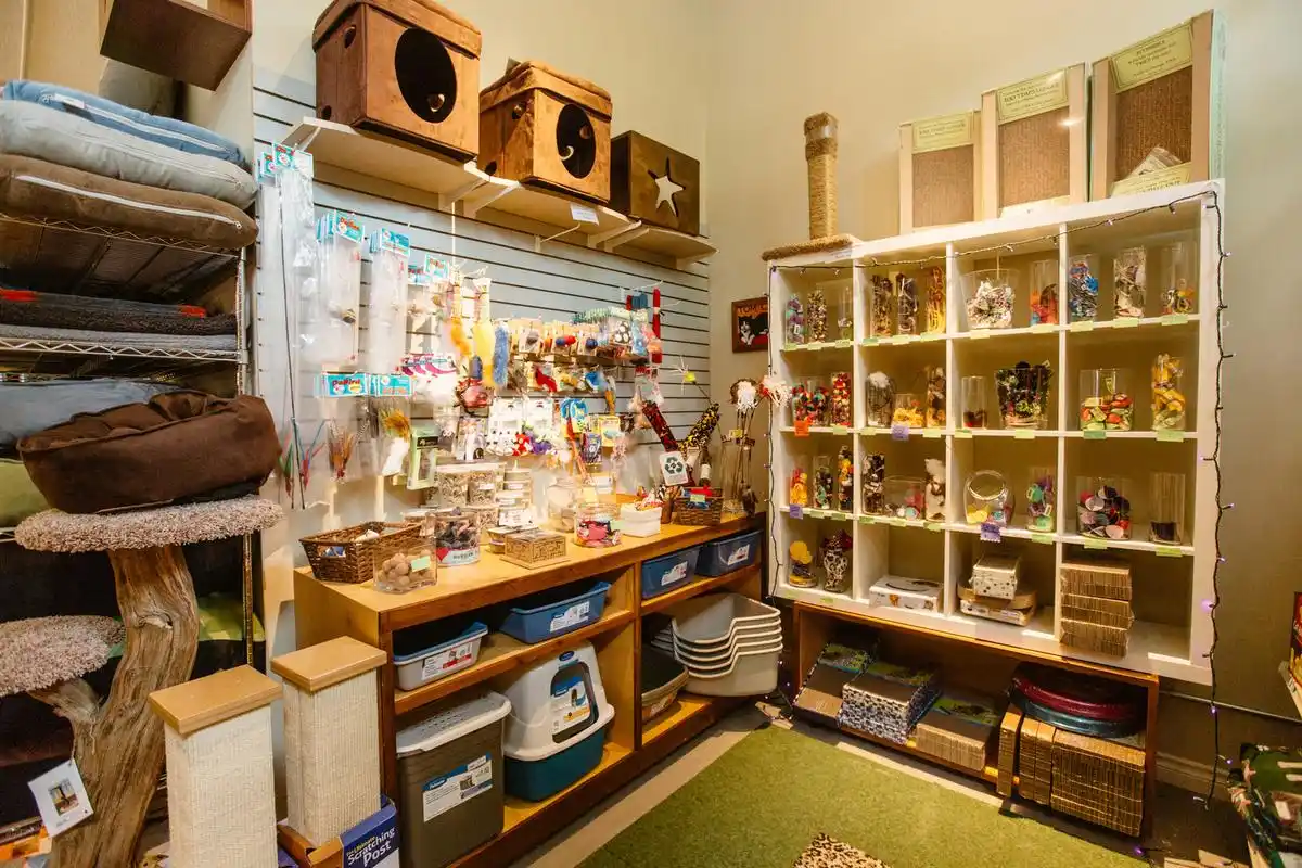 宠物店设计效果图