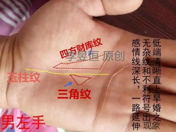 手掌下端有三角纹(手掌上有三角纹运势怎样)
