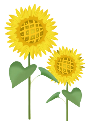 手绘向日葵卡通太阳花插画免抠元素png