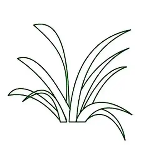 小草的简笔画小花小草的简笔画