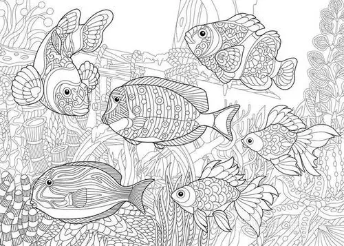 zentangle 程式化的海底世界插画-正版商用图片0z5xfg-摄图新视界