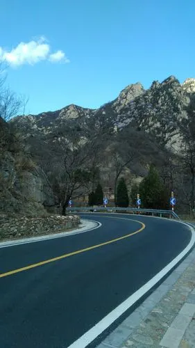 春天花会开!风景在路上