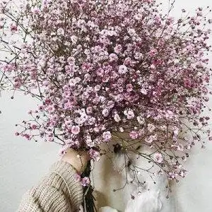 韩国中年女人头像中年女人微信头像韩国头像中年女人头像图片大全