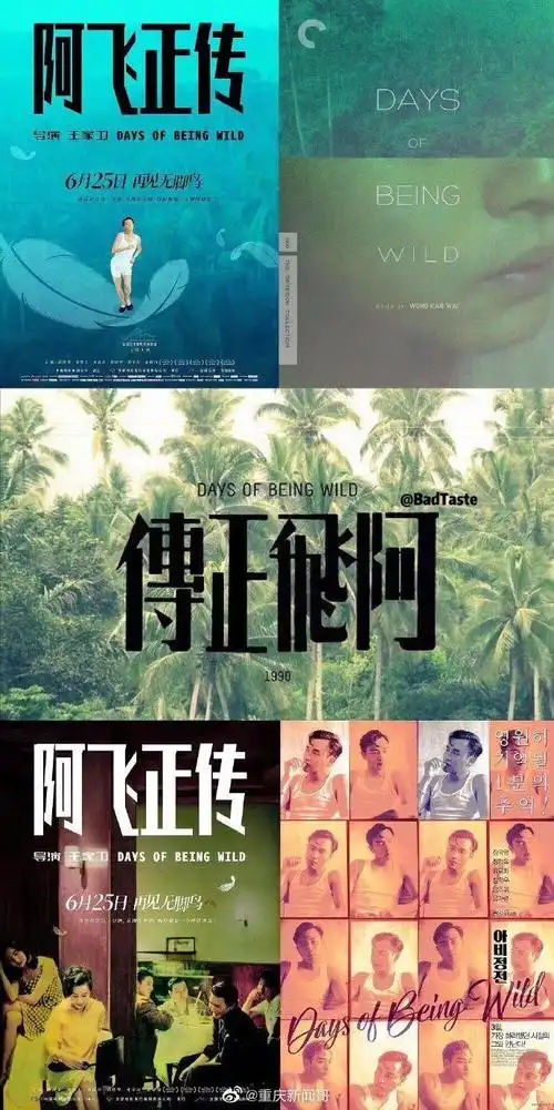 王家卫电影海报|王家卫_新浪新闻