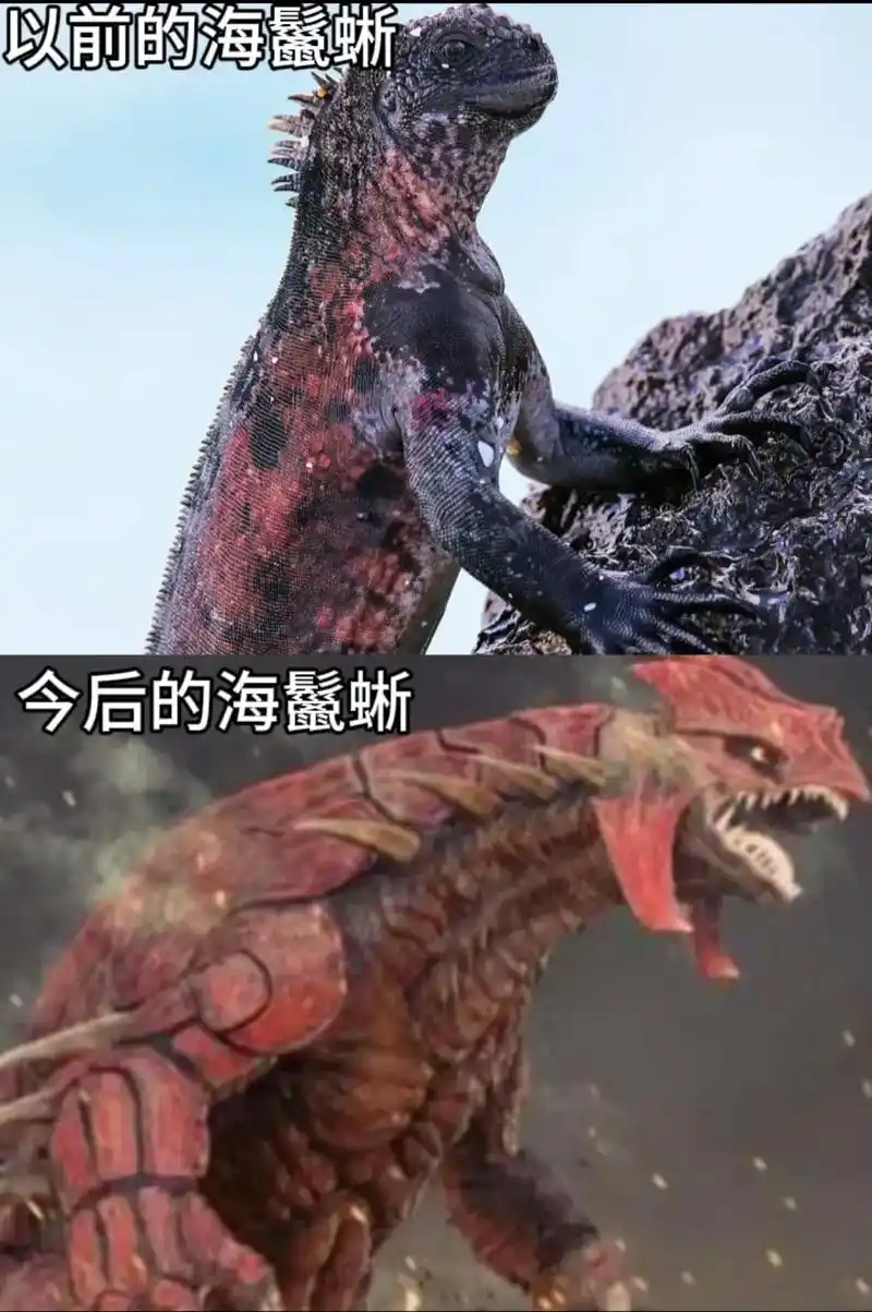 等等,我精灵球呢?#核辐射变异动物 #宝可梦 - 抖音