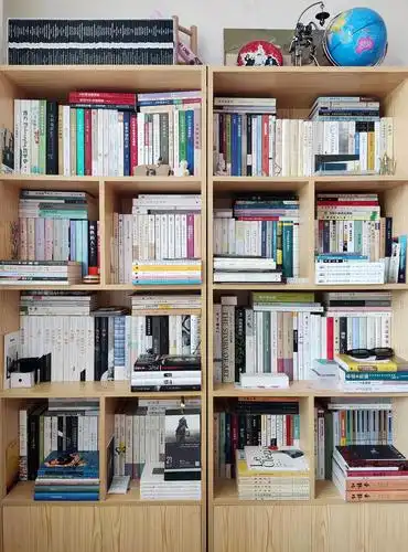 一个阶段性的藏书总结