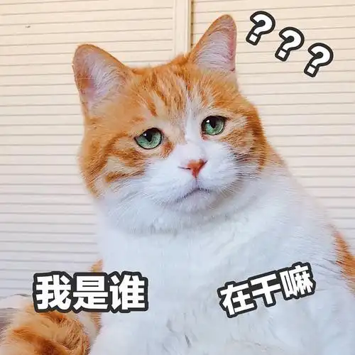 今天是五一小长假后上班第一天,你的状态如何?心情怎么样?