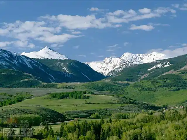 【ps素材】大片绿地树背景(远景配景素材)