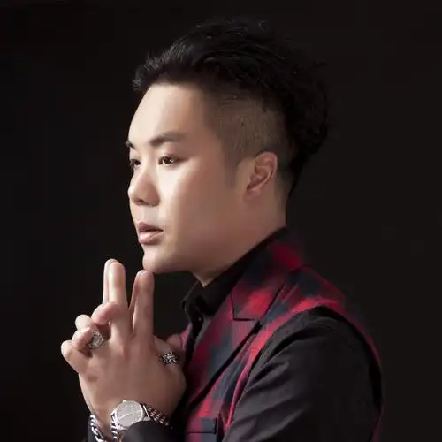 詹雅雯阿母的手原版伴奏