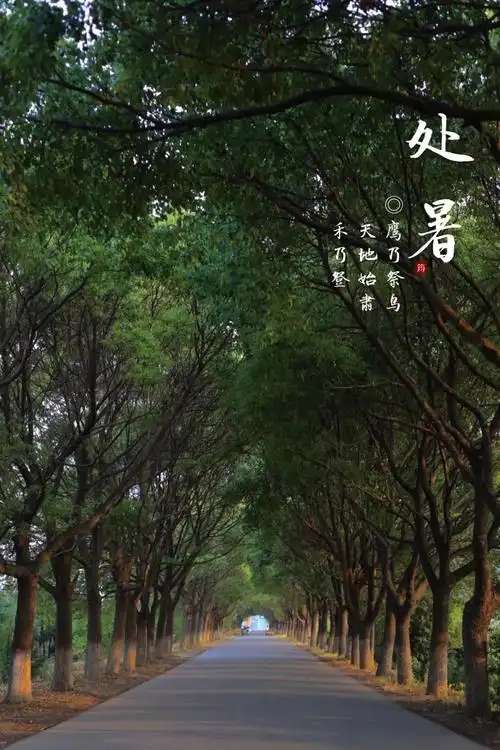 今日处暑!天气要凉快了?