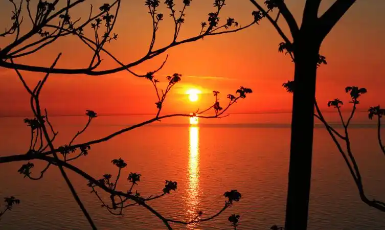水 波浪 海滩 海洋 风景 阳光 日落 和平 沙滩 浪漫 阳光 液体 明亮