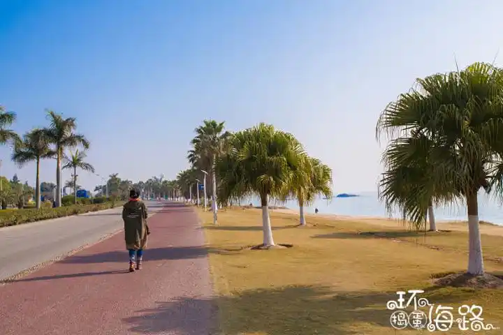 厦门环海路这段被人称为最美的路骑行在这里才能真正感受这里的美景