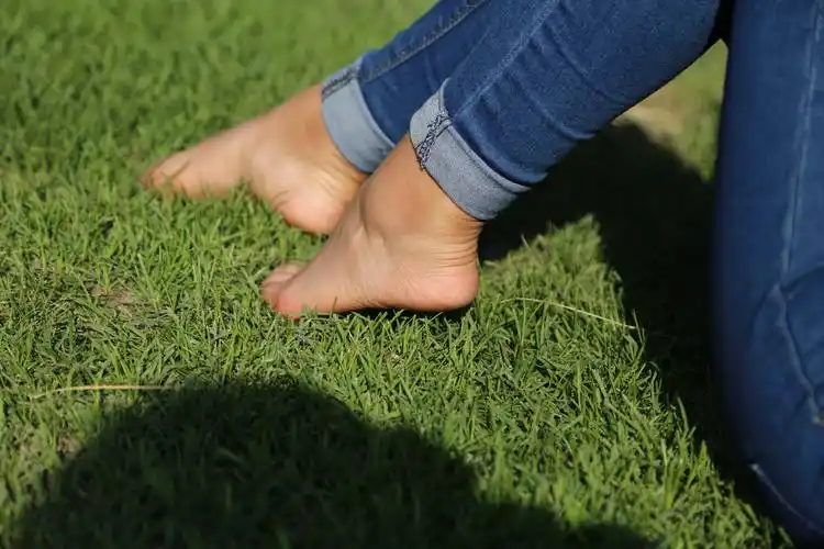 赤足者论坛 - powered by discuz!