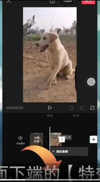 剪映怎么把人头单独放大