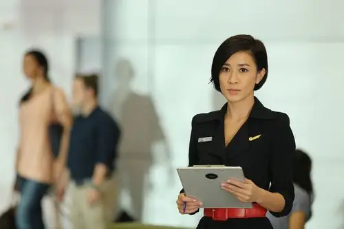 《冲上云霄》triumph in the skies