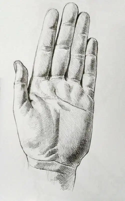 爱上手绘:手的素描画法